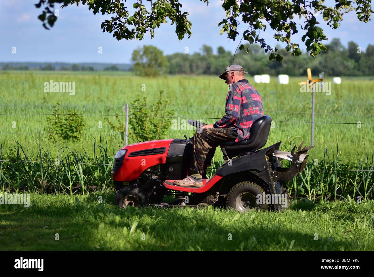 Älterer Mann, der grünen Rasen mit einem roten Rasenmäher in lässiger Kleidung und Camo-Hosen mäht. Gartenarbeit im Sommer, Konzept des ländlichen Lebensstils. Stockfoto
