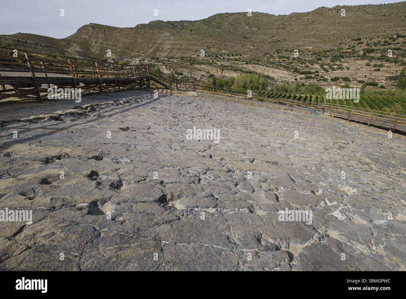 Dinosaurierspuren, Stätte der Ichniten von La Era del Peladillo, Igea, La Rioja, Spanien, Europa Stockfoto