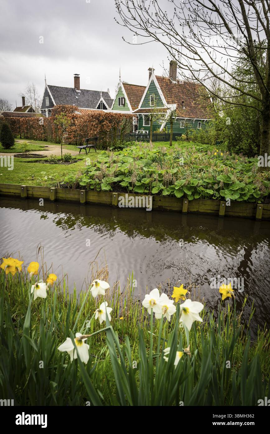 Zaanse Schans, typische traditionelle Häuser neben dem Kanal, Gemeinde Zaanstad, Europäische Route des industriellen Erbes, Niederlande Stockfoto