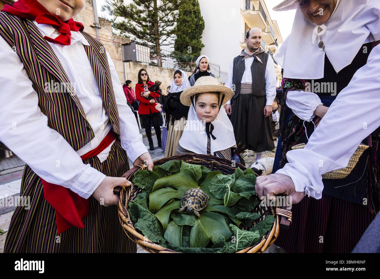 Segen der Tiere am Tag des Heiligen Antonius, Beneides de Sant Antoni, Muro, Mallorca, Balearen, Spanien, Europa Stockfoto