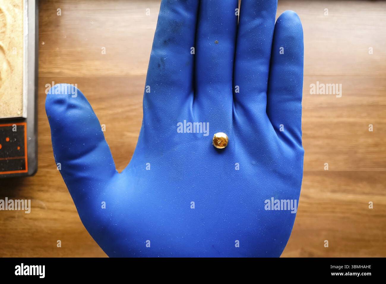 Ein kleines Stück Gold in der Hand mit einem Handschuh. Mini-Nugget aus Gold Stockfoto