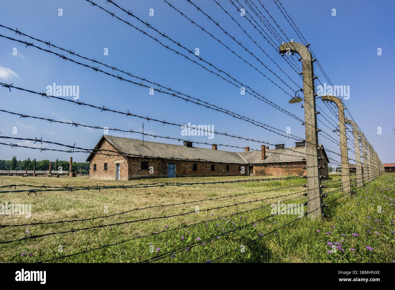 Drahtzaun, Konzentrationslager Auschwitz-Birkenau, Staatsmuseum, Oswiecim, Polen, osteuropa, Europa Stockfoto