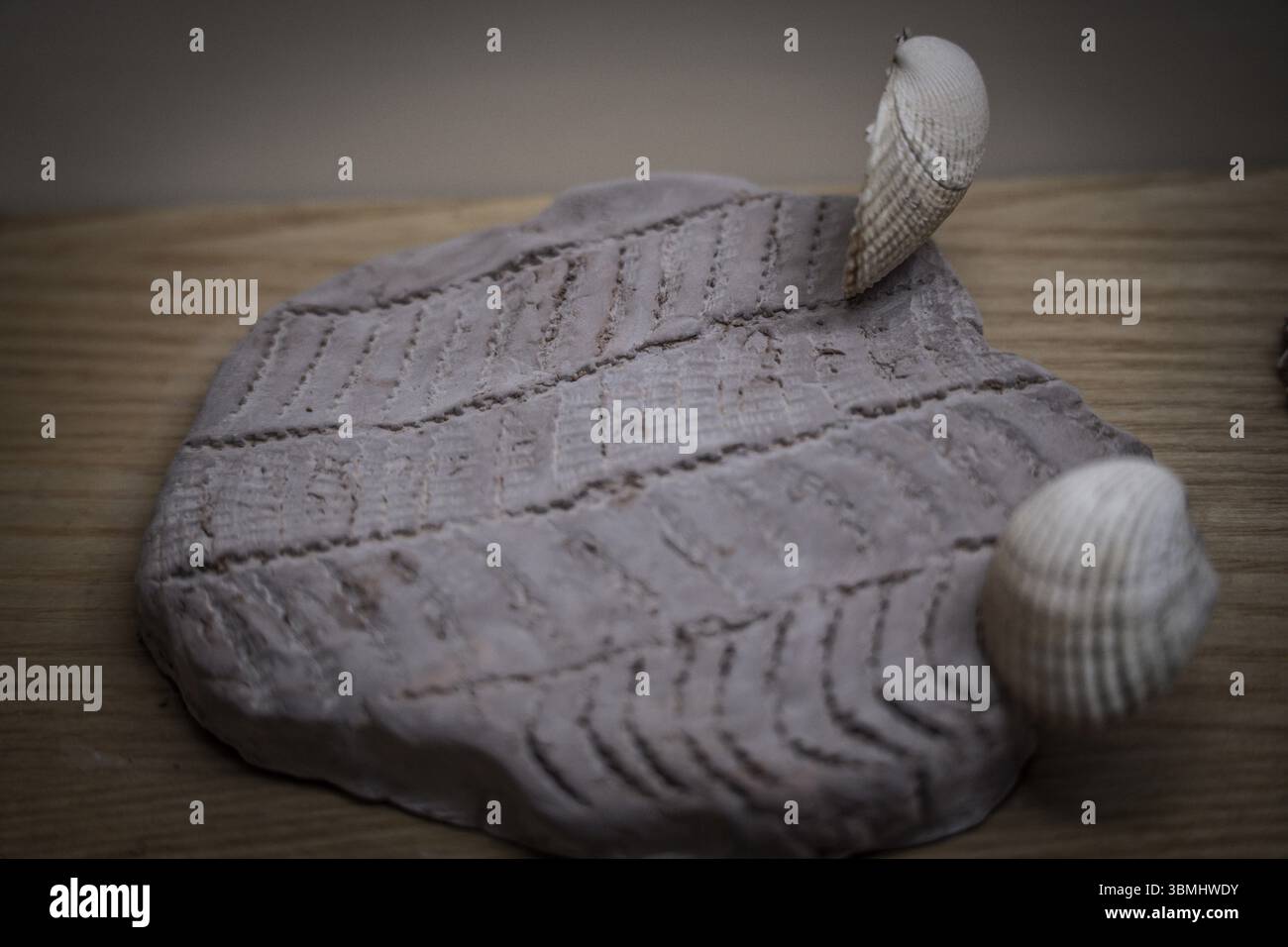 Nachbildung des Abdrucks von kardium auf Keramikpaste während des frühneolithischen, aktuellen kardiumschalens Stockfoto