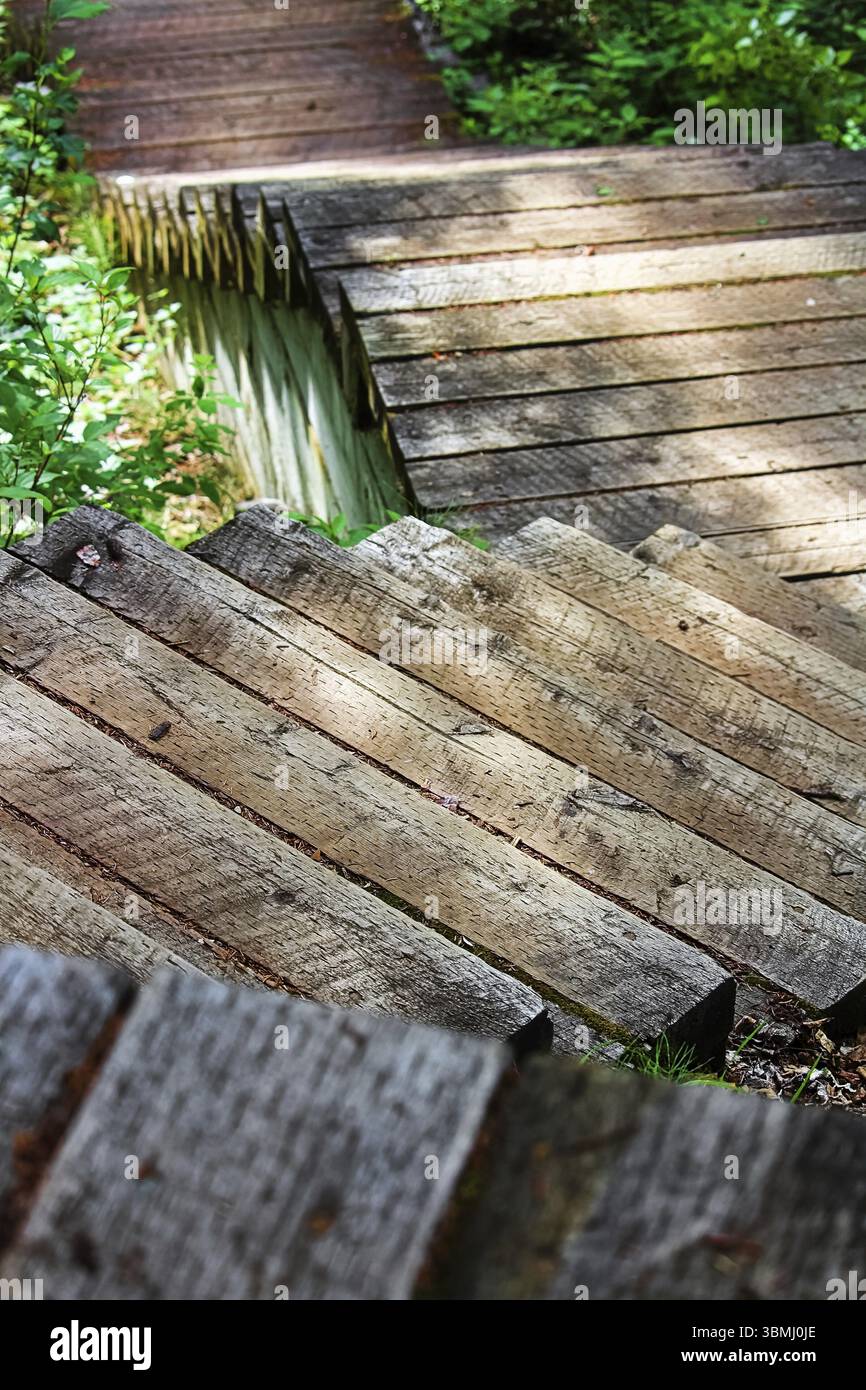 Vertikale Abwärtsansicht von Holztreppen auf einem Pfad Stockfoto