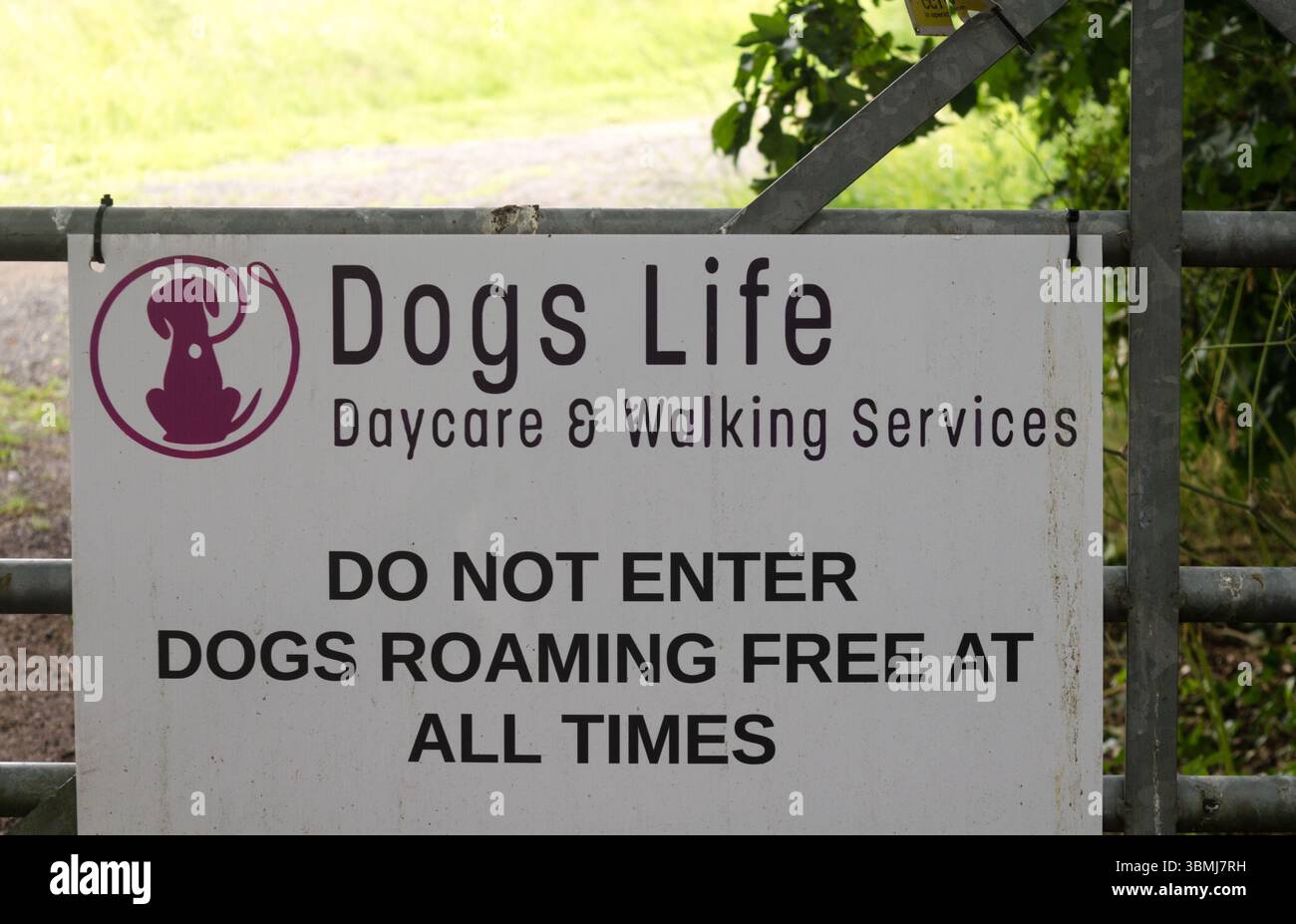 Ein Schild mit der Aufschrift, dass Kinderbetreuung und Hundewanderung in Großbritannien verfügbar sind Stockfoto