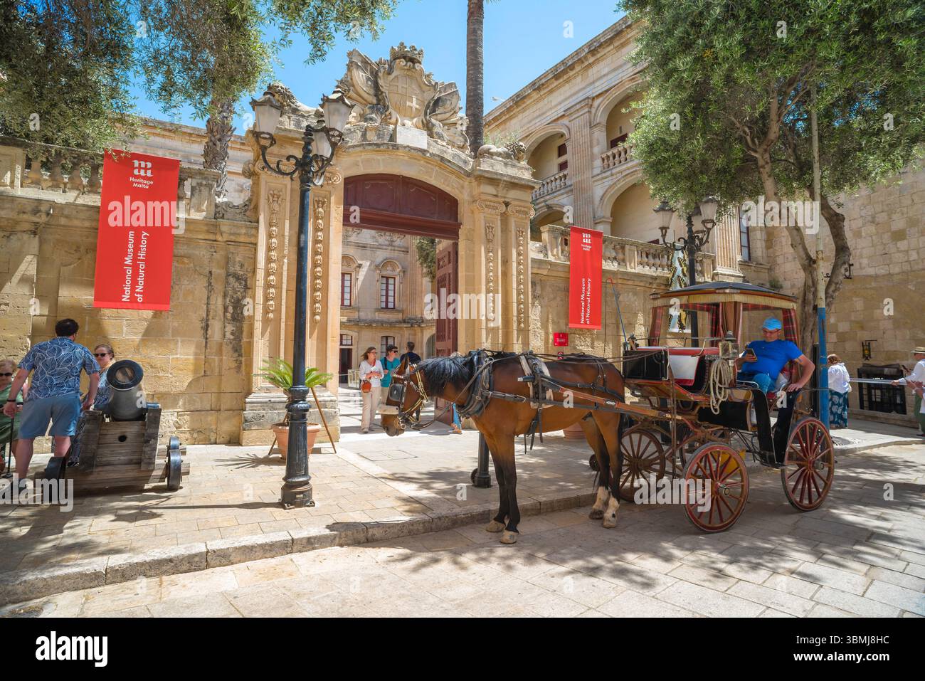 Mdina Malta, im Sommer Blick auf den Barock Eingang zum Nationalmuseum für Naturgeschichte (Palazzo Vilhena) in der ummauerten Stadt Mdina Stockfoto