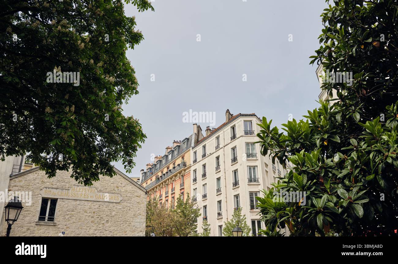 Blühende Kastanienäste, die traditionelle pariser Gebäude umrahmen Stockfoto