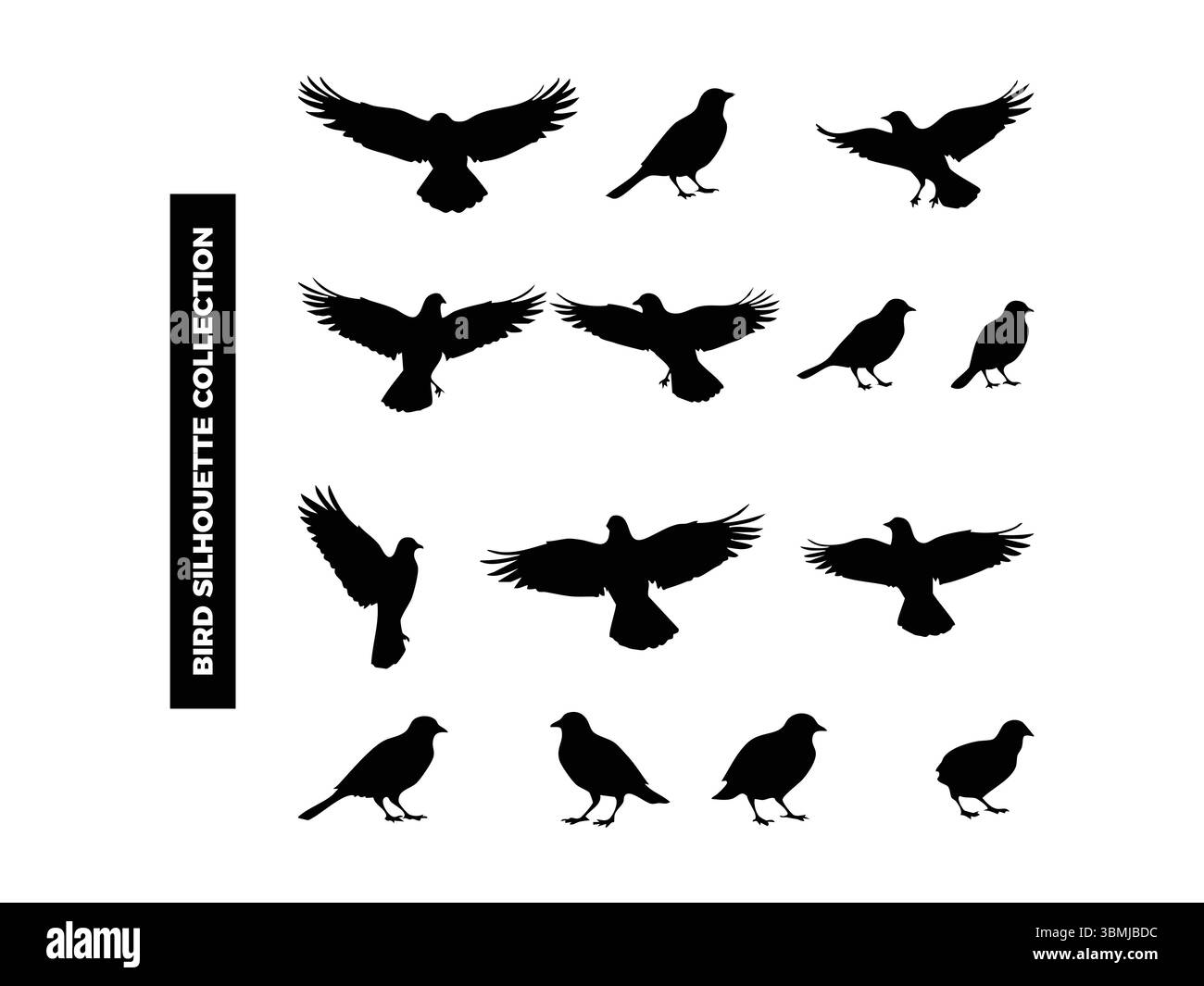 Hochwertige Vektor-Vogel-Silhouetten in verschiedenen Posen, fliegen, ruhen und hocken. Ideal für Logos, T-Shirts, Poster und Design-Projekte mit Naturmotiven Stock Vektor
