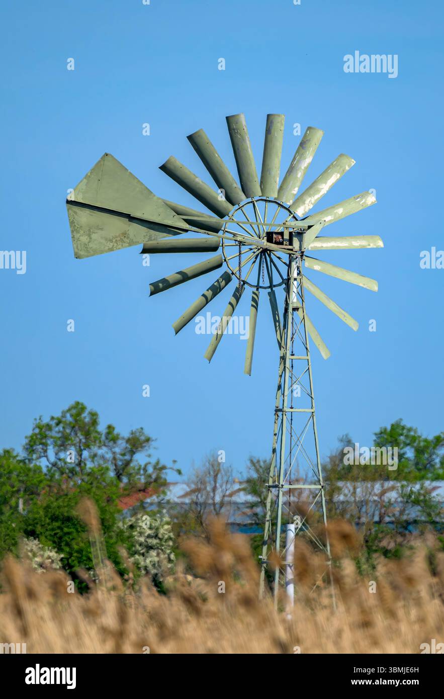 Altmodische Windpumpe auf den Somerset Levels, am sonnigen Frühlingstag, Somerset, Großbritannien Stockfoto