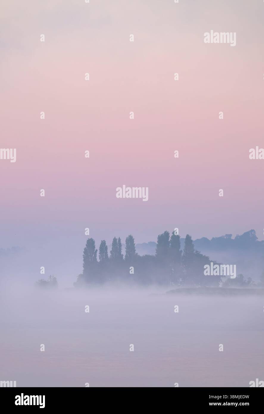 Blagdon Lake, Somerset bei Sonnenaufgang an einem sehr nebeligen Morgen im Frühling mit einem wunderschönen hellen Sonnenaufgang, der durch den Nebel zeigt Stockfoto