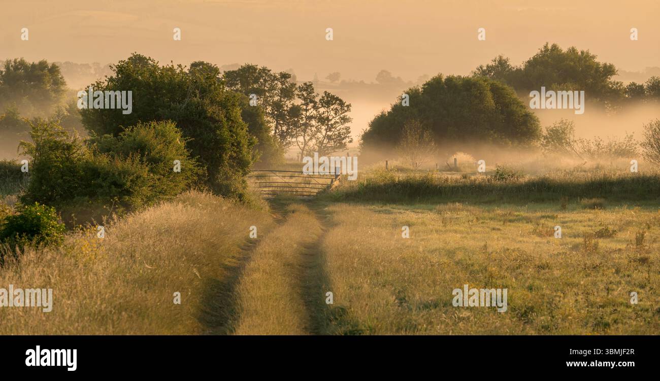 Panoramabild einer hübschen ländlichen Szene mit Morgennebel kurz nach Sonnenaufgang, aufgenommen in der Nähe von Meare, Somerset, Großbritannien Stockfoto