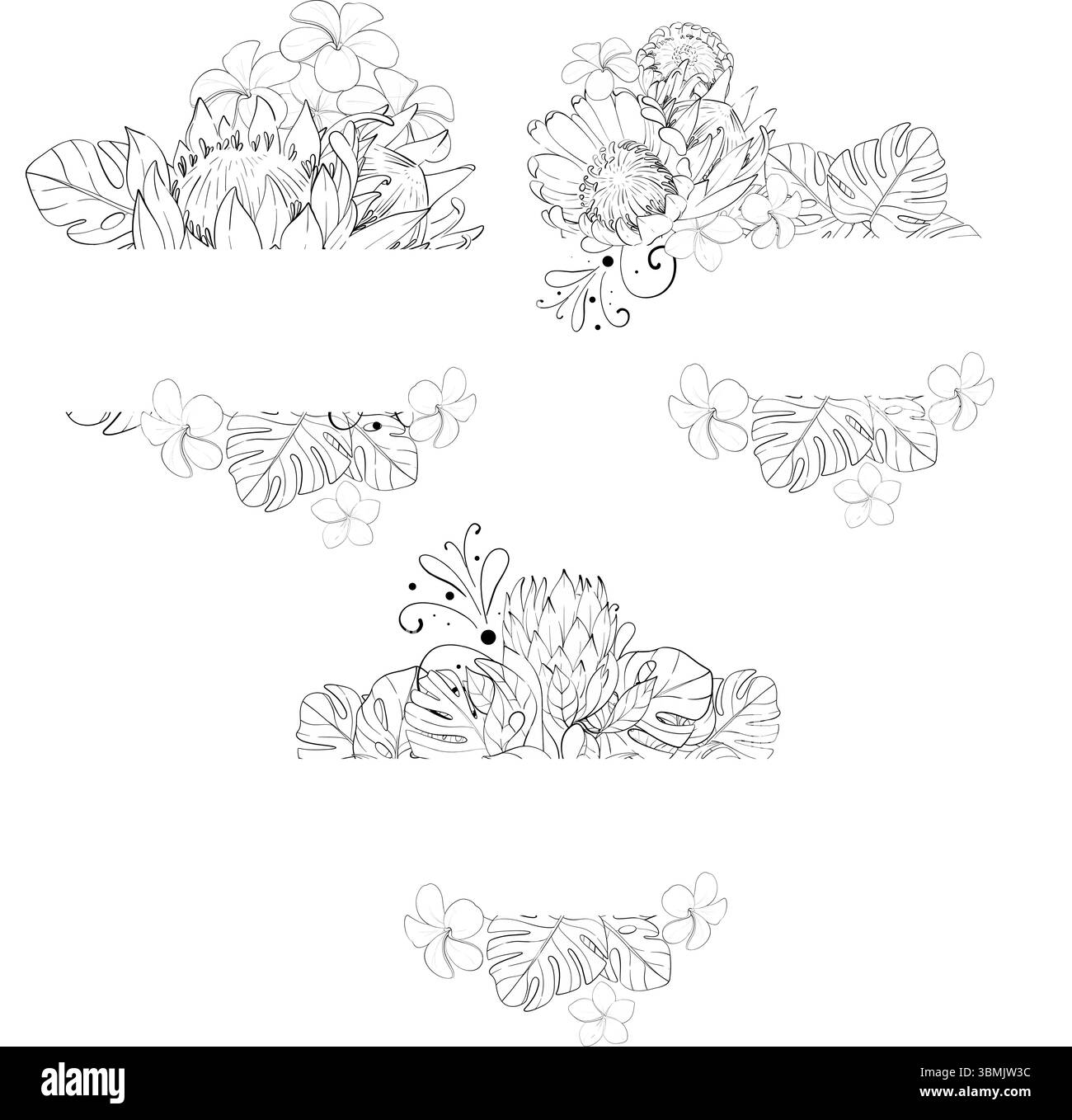 Vektor-Set - tropische Borten Blumenstrauß Blumen. Proteas, Monsterablätter und Plumerien. Botanische, exotische Grafik für den Sommer. Vorlage, Arrangements Stock Vektor