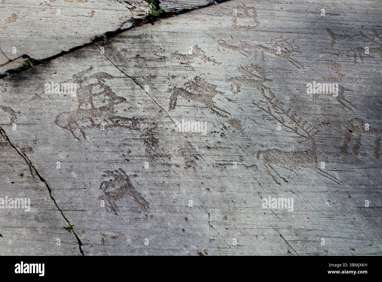 Prähistorische Felsschnitzerei (Petroglyphen) vermutlich von Einer Jagdszene auf Einer Steinplatte in der norditalienischen Valcamonica in der Lombardei Stockfoto