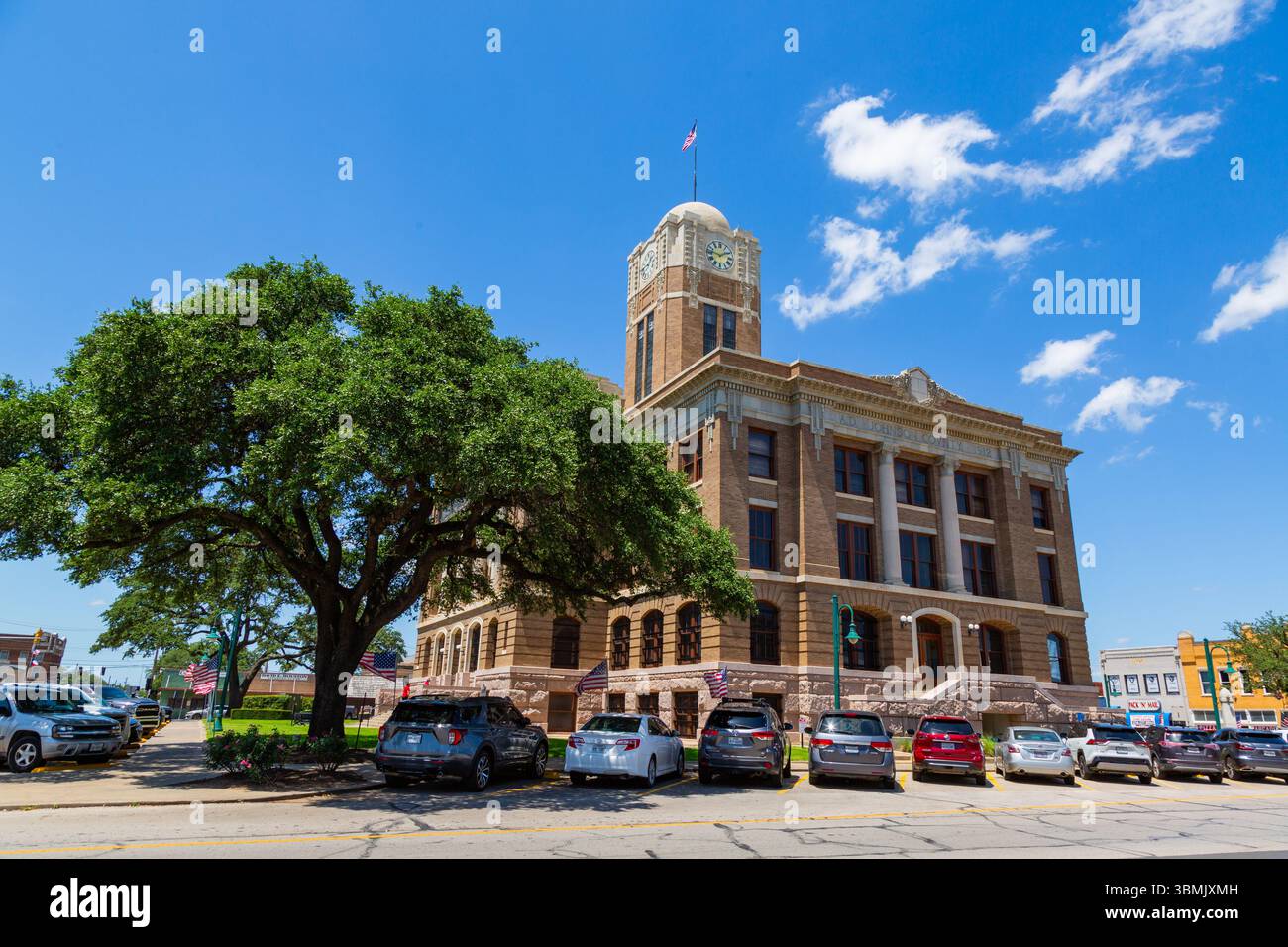 Ein Baum wächst neben dem Johnson County Courthouse in Cleburne, Texas, USA. Stockfoto