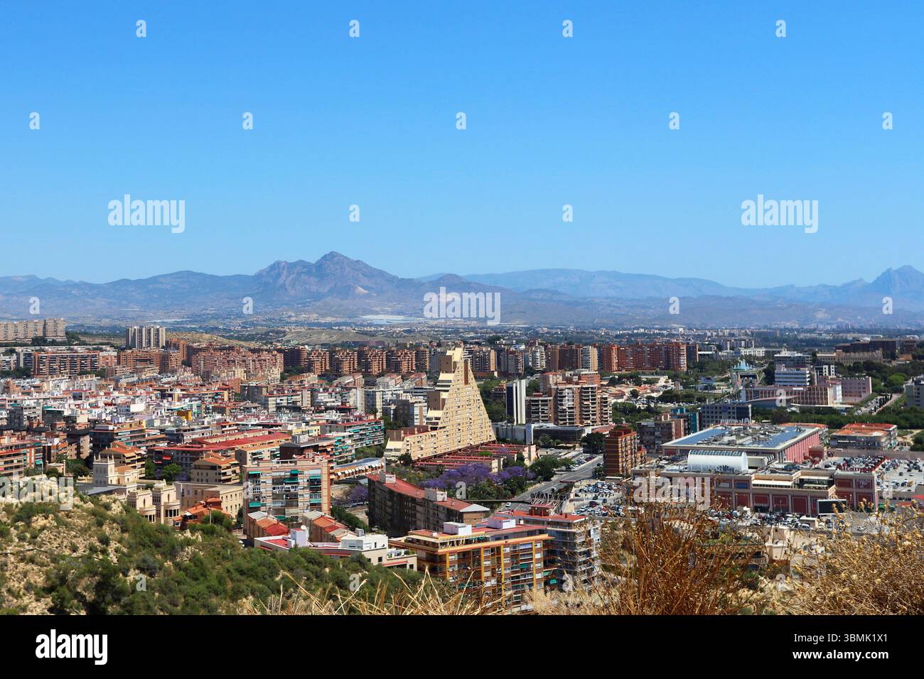 Panoramablick auf die Stadt Alicante mit Stierkampfarena, städtischen Gebäuden und Bergen im Hintergrund unter klarem Himmel. Stockfoto