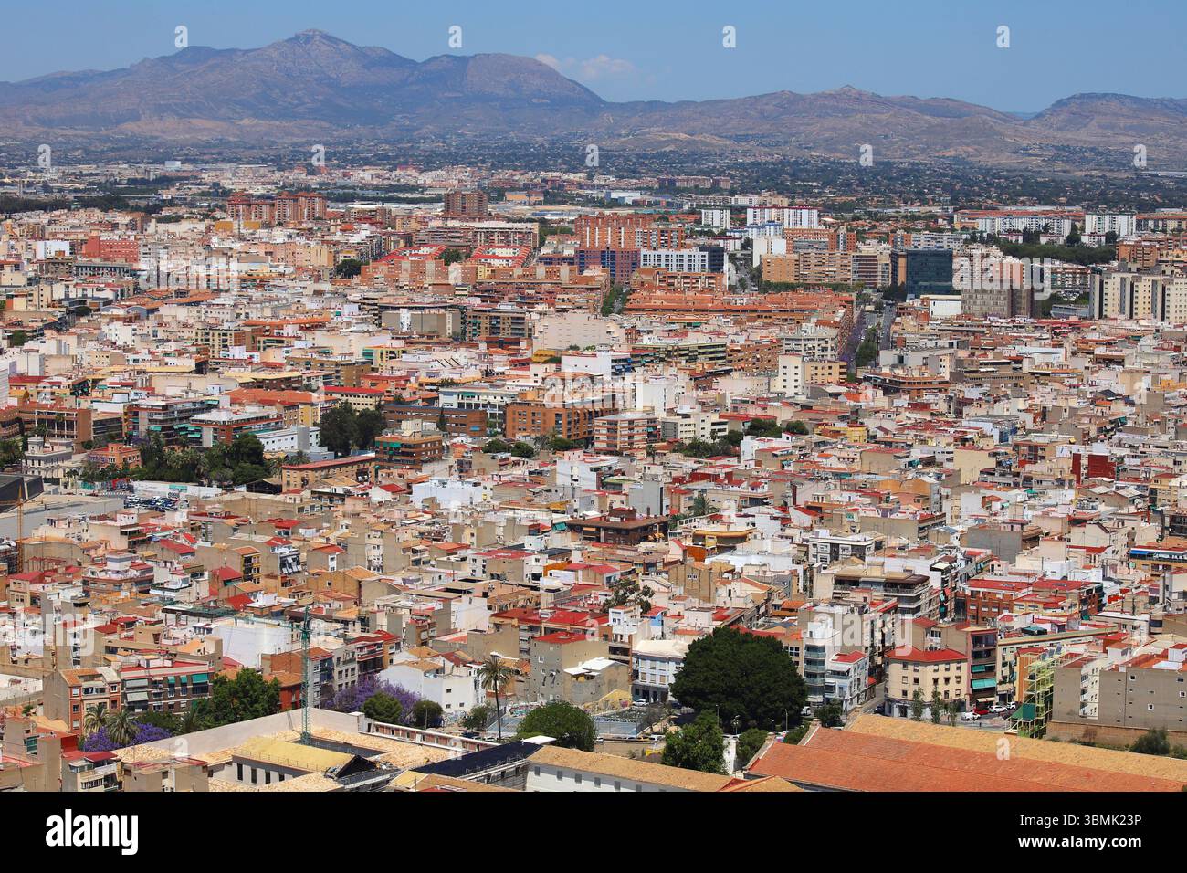 Panoramablick auf die Stadt Alicante mit Stierkampfarena, städtischen Gebäuden und Bergen im Hintergrund unter klarem Himmel. Stockfoto