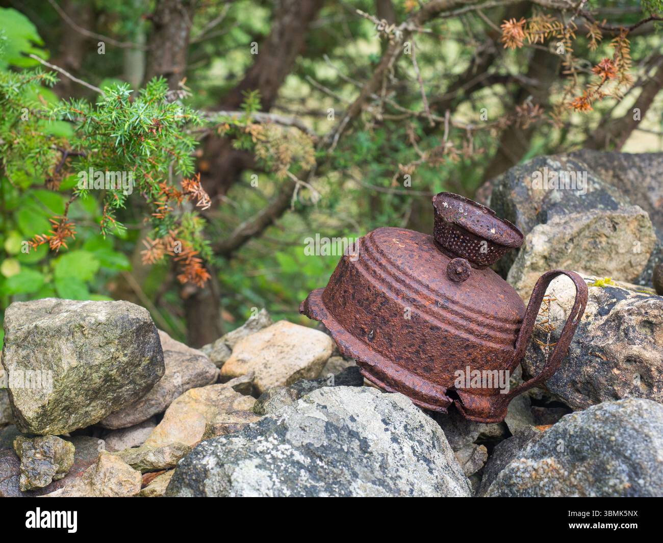 Rostiger alter Wasserkocher auf einem Steinhaufen im Wald. Symbol der ländlichen Vergangenheit Stockfoto Rostiger alter Wasserkocher auf einem Steinhaufen im Wald. Symbol der ländlichen Vergangenheit Stockfoto