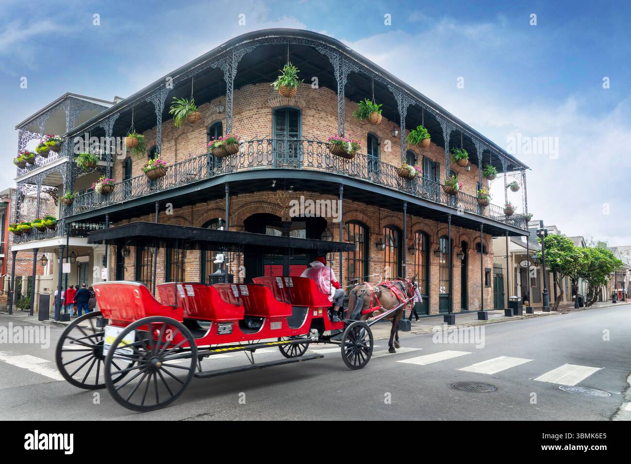 Sightseeing Pferdekutschfahrt und ein typisches Gebäude mit Balkonen und Säulen in einer Straße des French Quarter, New Orleans, Louisiana Stockfoto