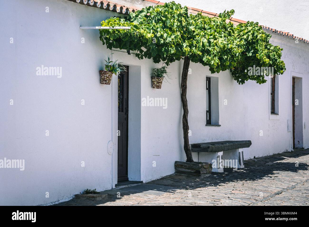 Traditionelles weiß getünchtes Haus mit Weinstock und Steinbank in Monsaraz, Portugal Stockfoto