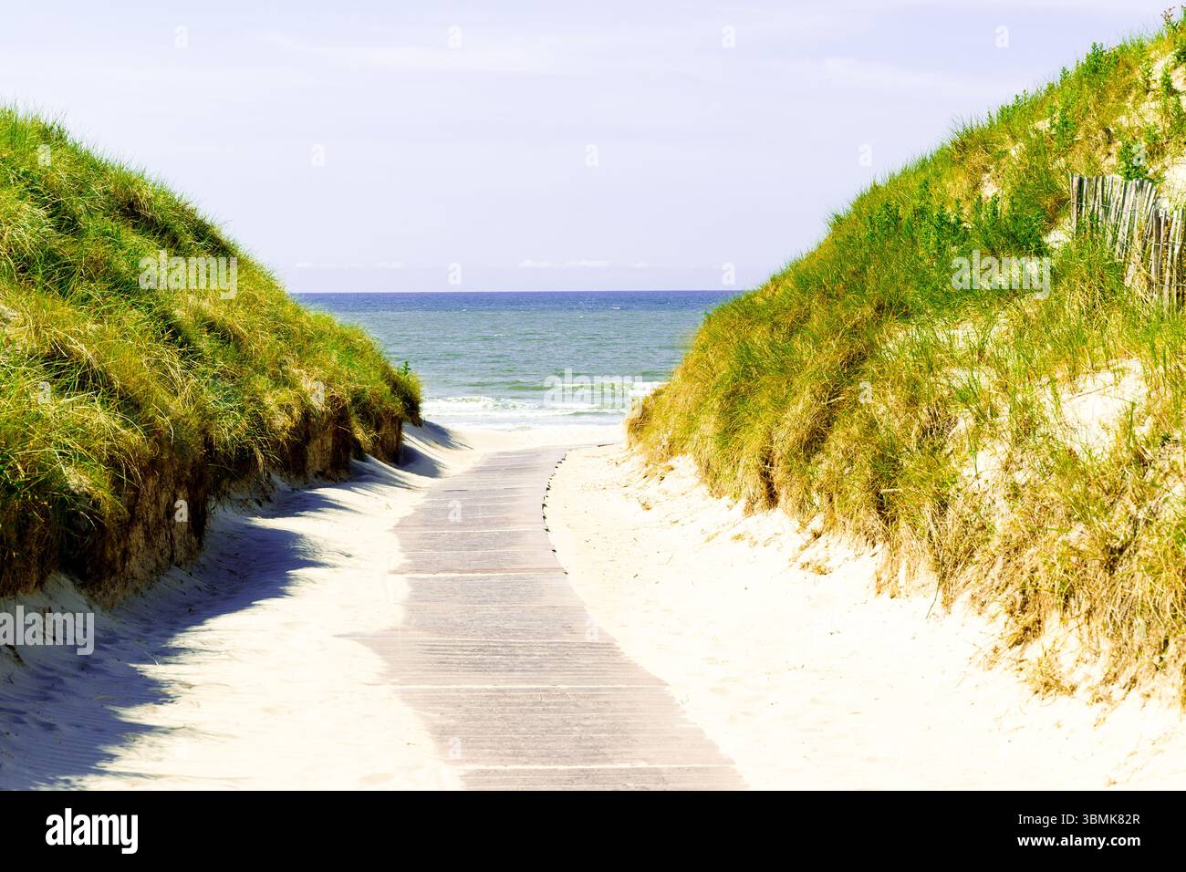 Dünenweg zum Norderney Beach Stockfoto