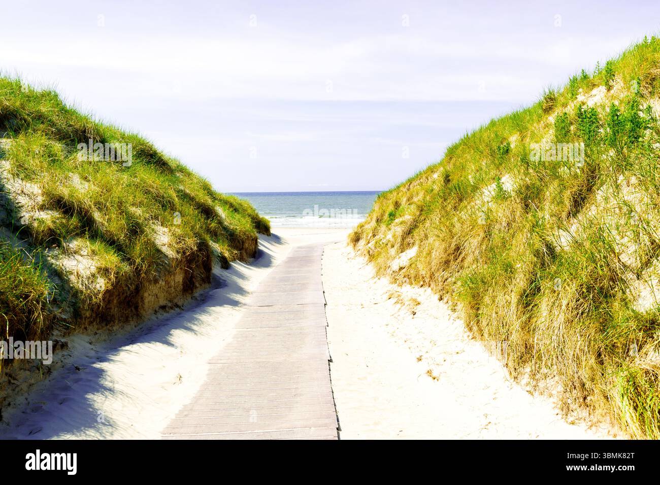 Dünenweg zum Norderney Beach Stockfoto