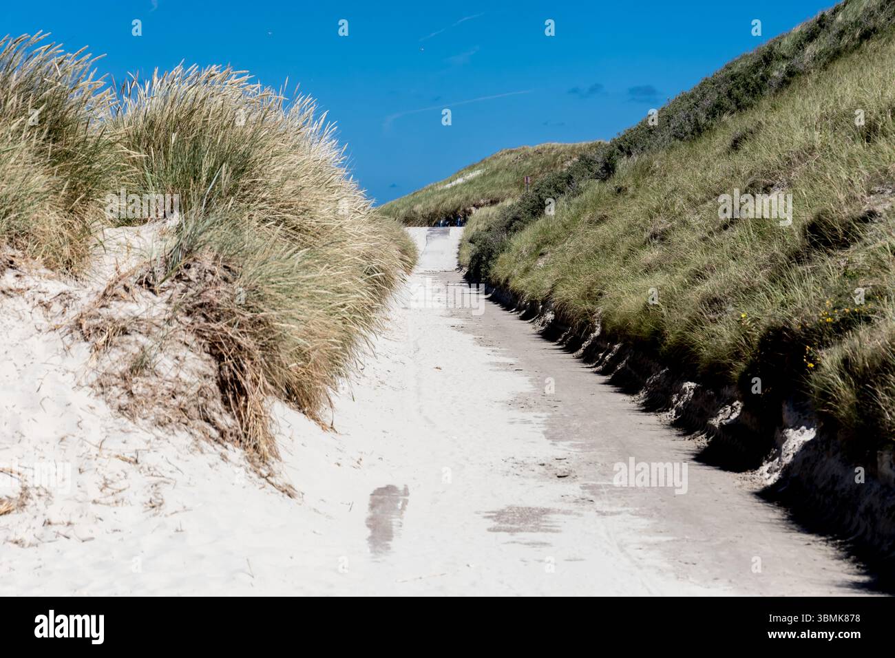 Dünenweg zum Norderney Beach Stockfoto