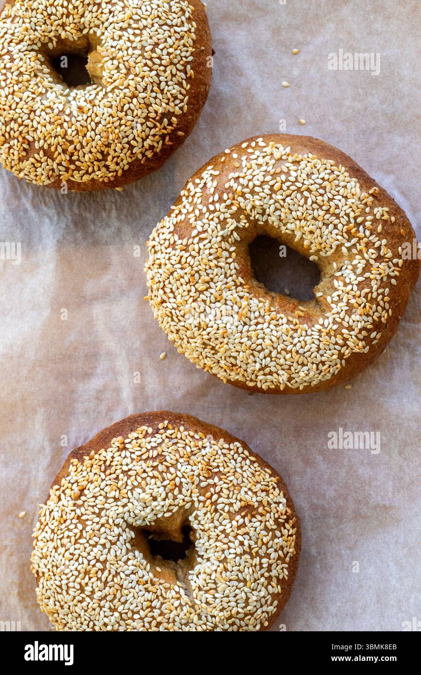 3 handgemachte Bagels mit Sesam-Samen, traditionelle jüdische Brötchen auf fettfestem Papier Stockfoto