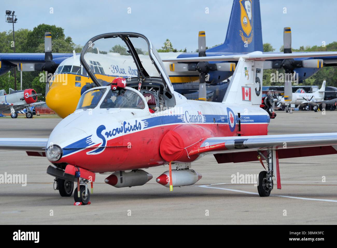 Das RCAF Snowbirds Flugvorführungsteam, das hier auf der Rhode Island Air Show in New England, USA gezeigt wird Stockfoto
