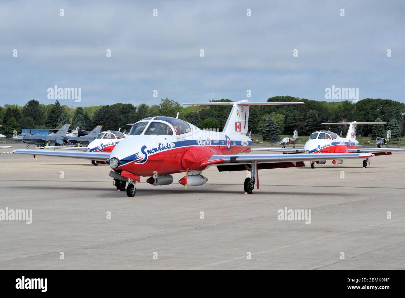 Das RCAF Snowbirds Flugvorführungsteam, das hier auf der Rhode Island Air Show in New England, USA gezeigt wird Stockfoto