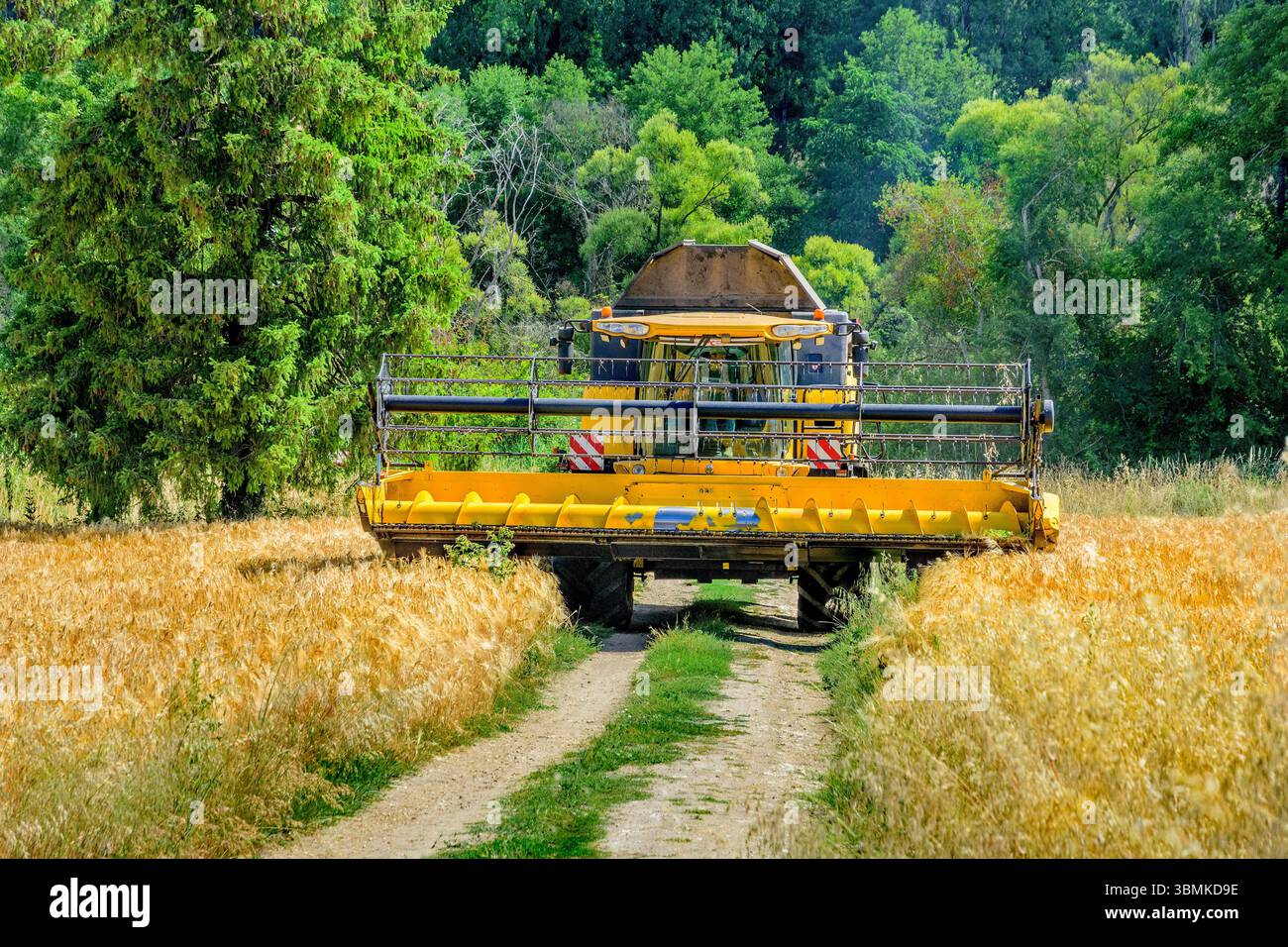 New Holland CX8080 Mähdrescher im Weizenfeld - Bossay-sur-Claise, Indre-et-Loire (37), Frankreich. Stockfoto