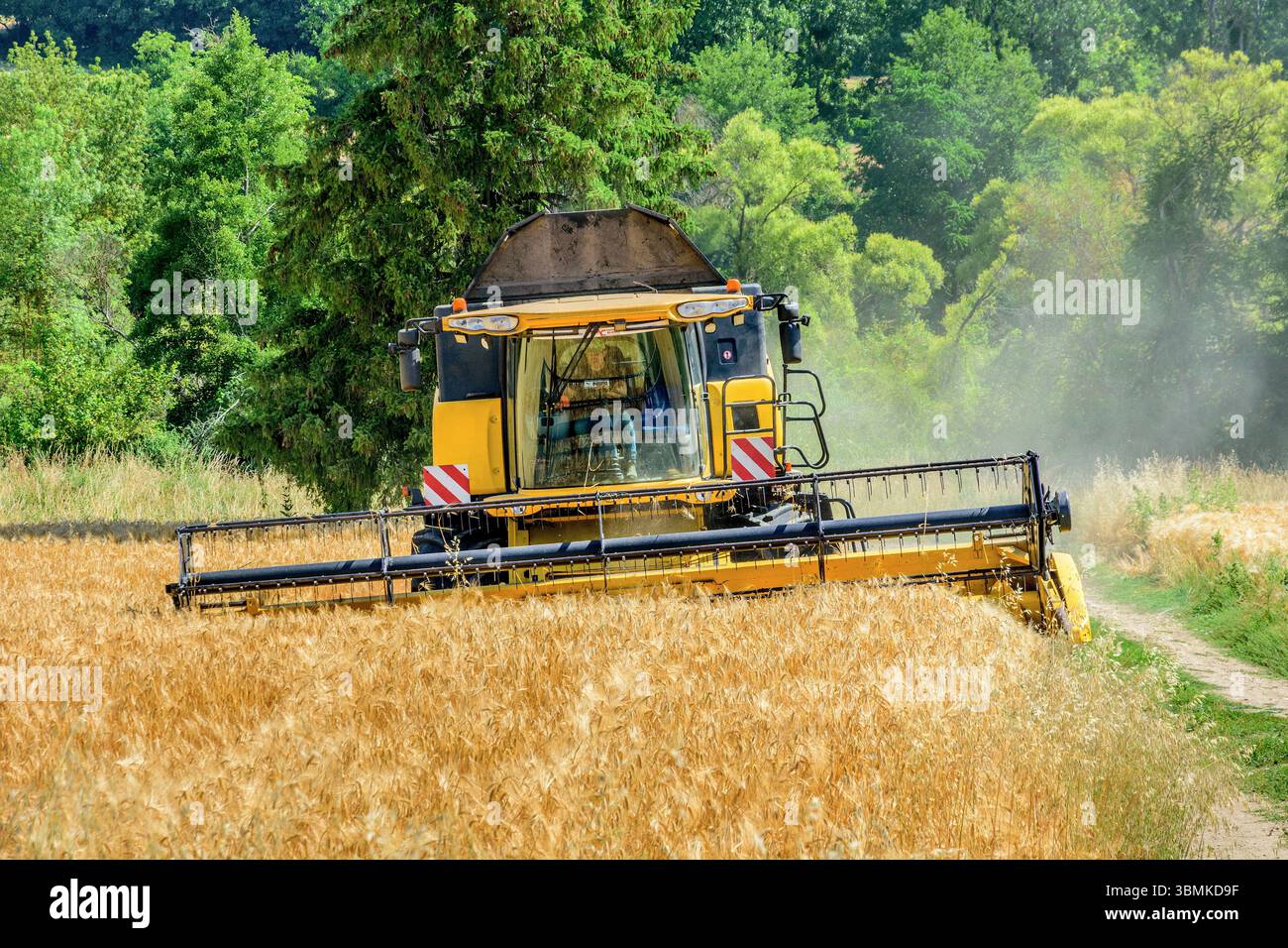 New Holland CX8080 Mähdrescher im Weizenfeld - Bossay-sur-Claise, Indre-et-Loire (37), Frankreich. Stockfoto