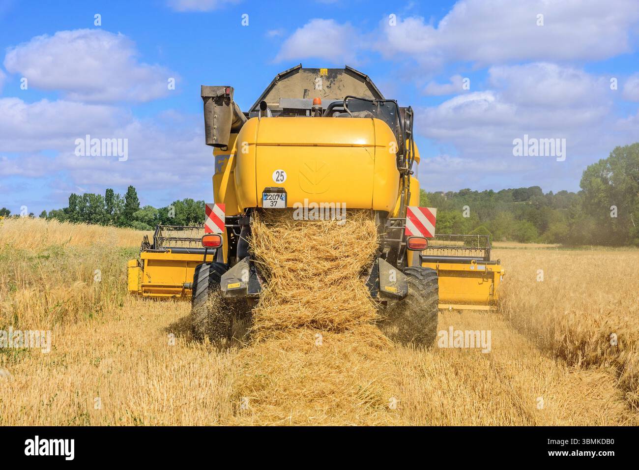 New Holland CX8080 Mähdrescher im Weizenfeld - Bossay-sur-Claise, Indre-et-Loire (37), Frankreich. Stockfoto