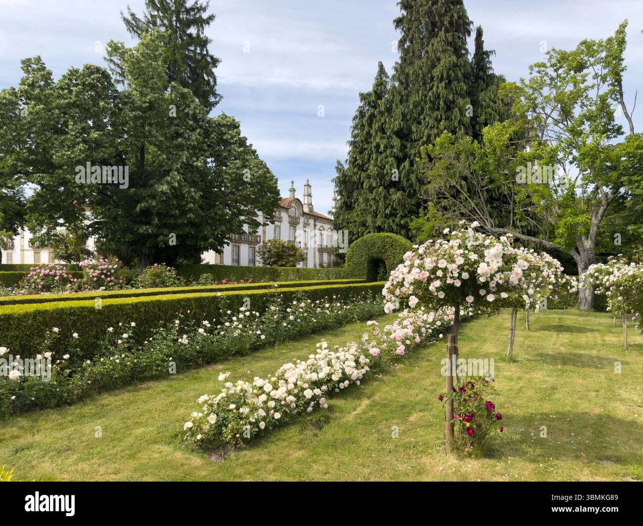 Mateus Palast und Rosengärten, Vila Real, Portugal - Smartphone-aufgenommenes Stockfoto