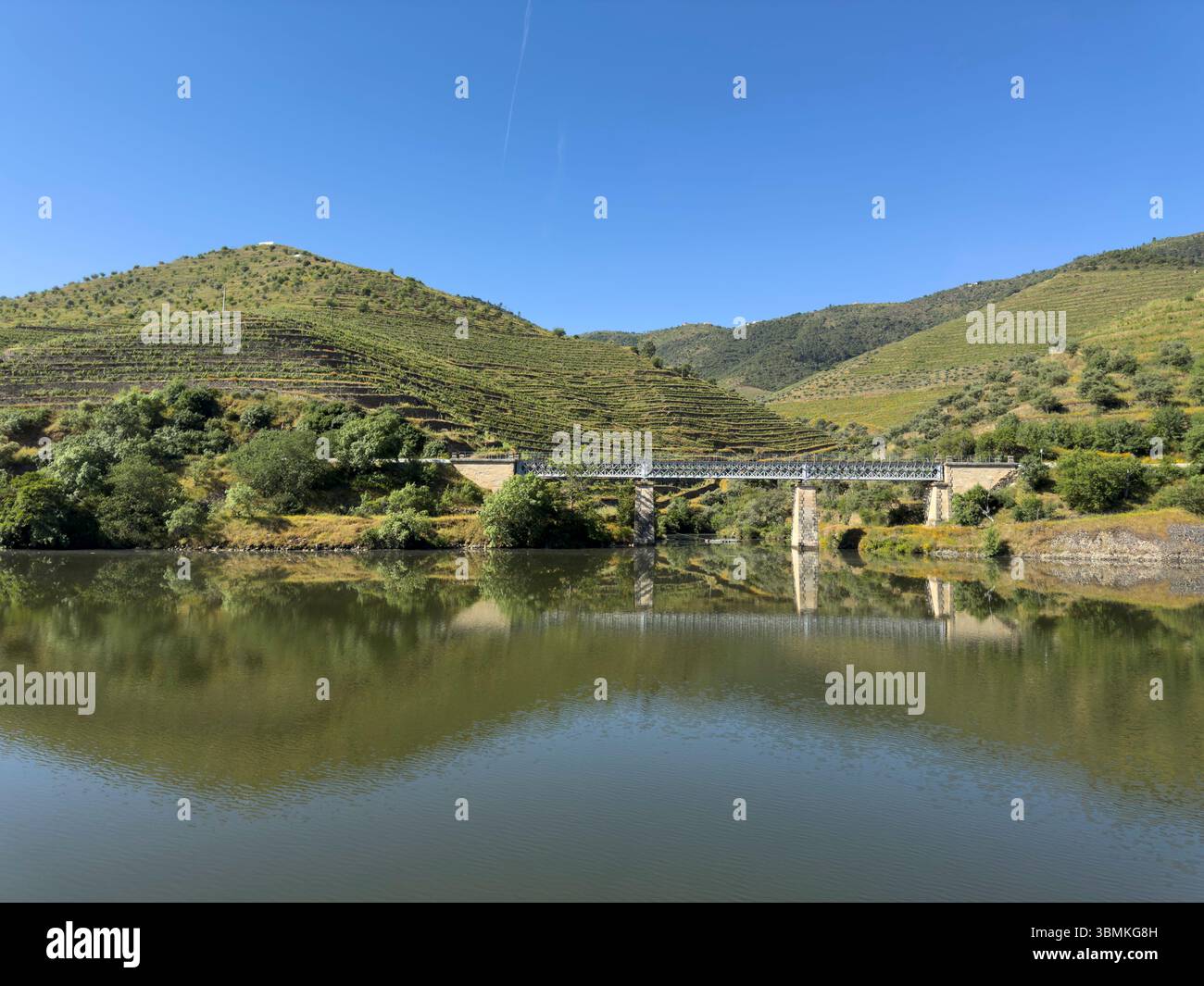 Terrassen-Weinberge und Brücke am Ufer des Flusses Douro, Portugal - Smartphone-aufgenommenes Stockfoto