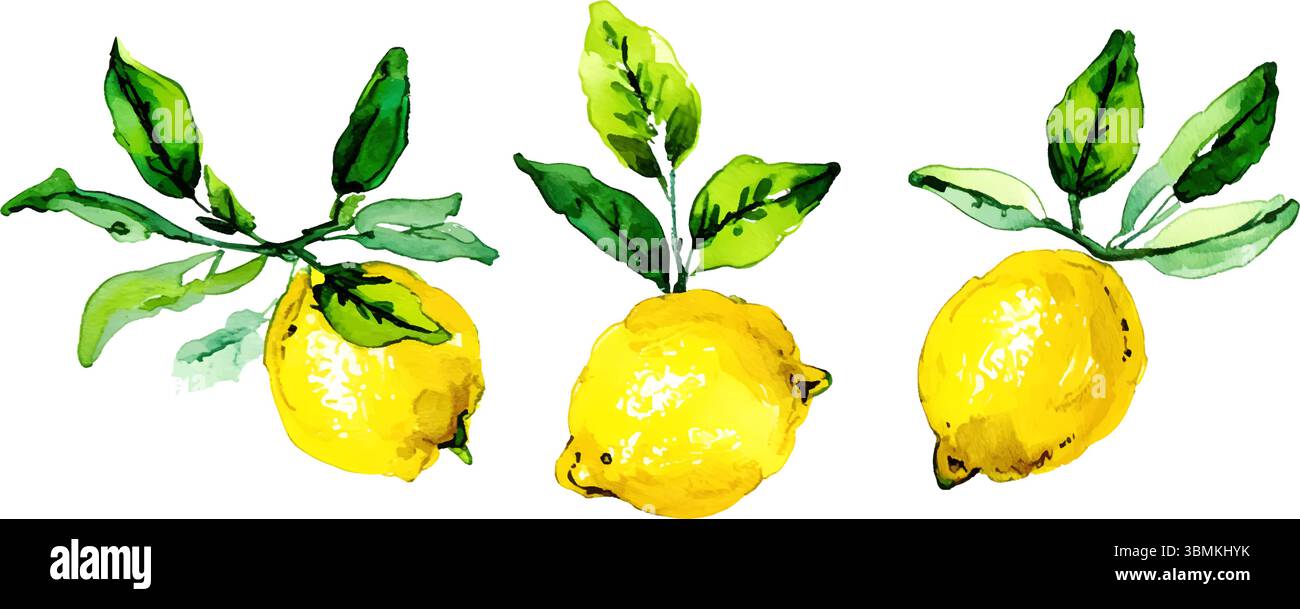 Helle und frische Vektor-Illustration von drei Reifen gelben Zitronen mit lebhaften grünen Blättern. Perfekt für Lebensmittelverpackungen, Sommerdesigns, Küchendekor Stock Vektor