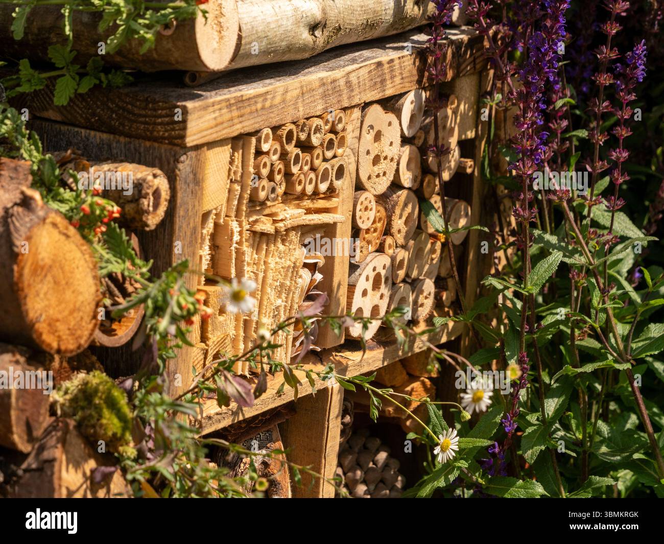 Hausgemachtes Insektenhotel in einem britischen Garten im Sommer. Stockfoto