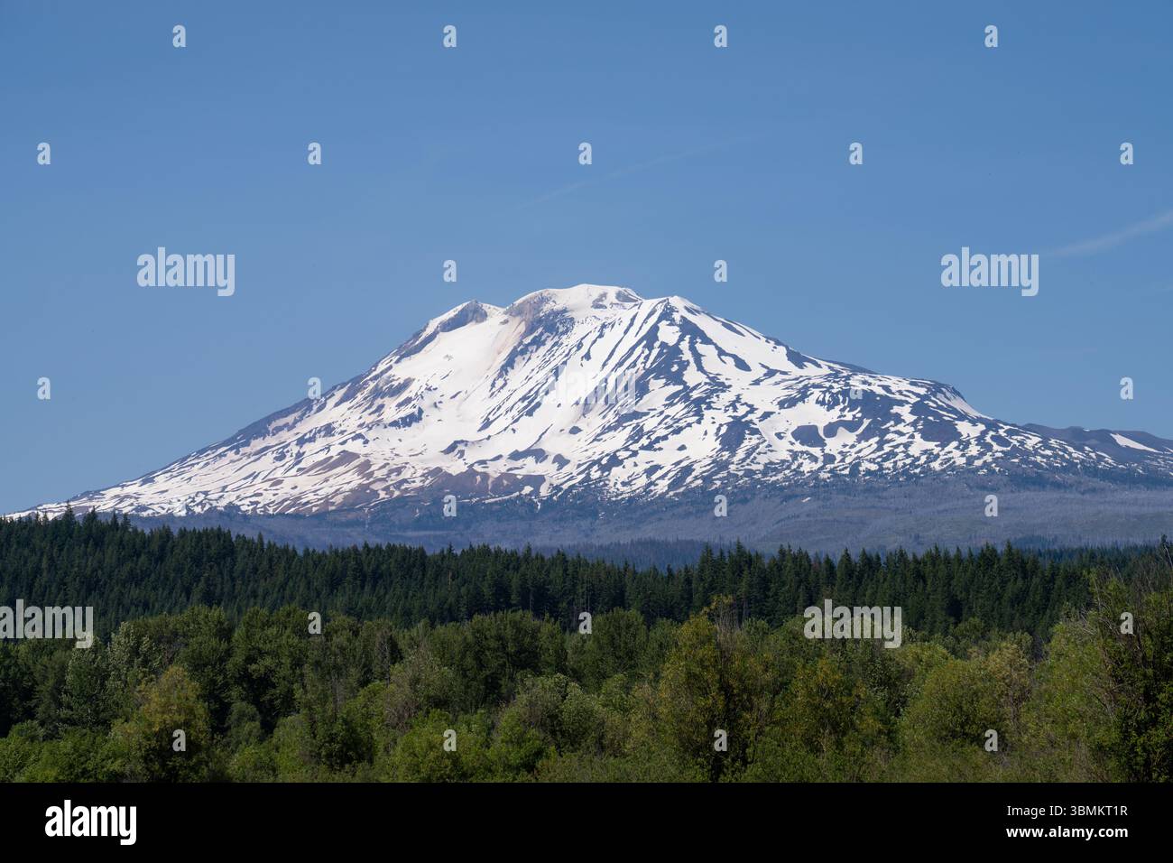 Malerischer Sommerblick auf den verschneiten Vulkan Mount Adams, Oregon, USA Stockfoto