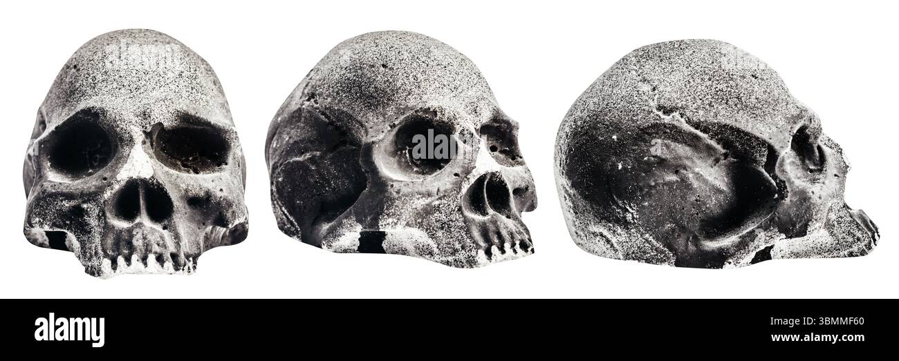 Isoliertes Foto des menschlichen Steinschädels in verschiedenen Winkeln auf weißem Hintergrund. Stockfoto