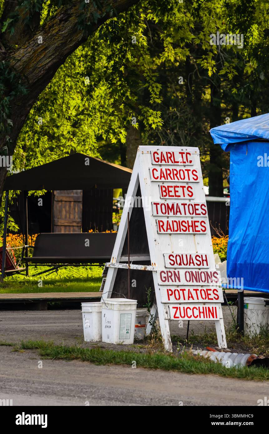 Schild am Straßenrand für den Bauernmarkt im frühen Herbst Stockfoto