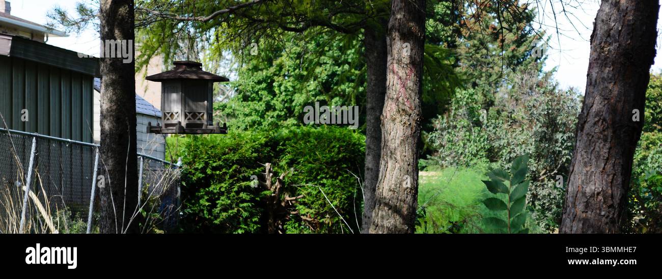 Hinterhof Vogelfutterhäuschen amontieren Bäume unter einem Sommerhimmel in der hellen Sonne. Stockfoto Hinterhof Vogelfutterhäuschen amontieren Bäume unter einem Sommerhimmel in der hellen Sonne. Stockfoto