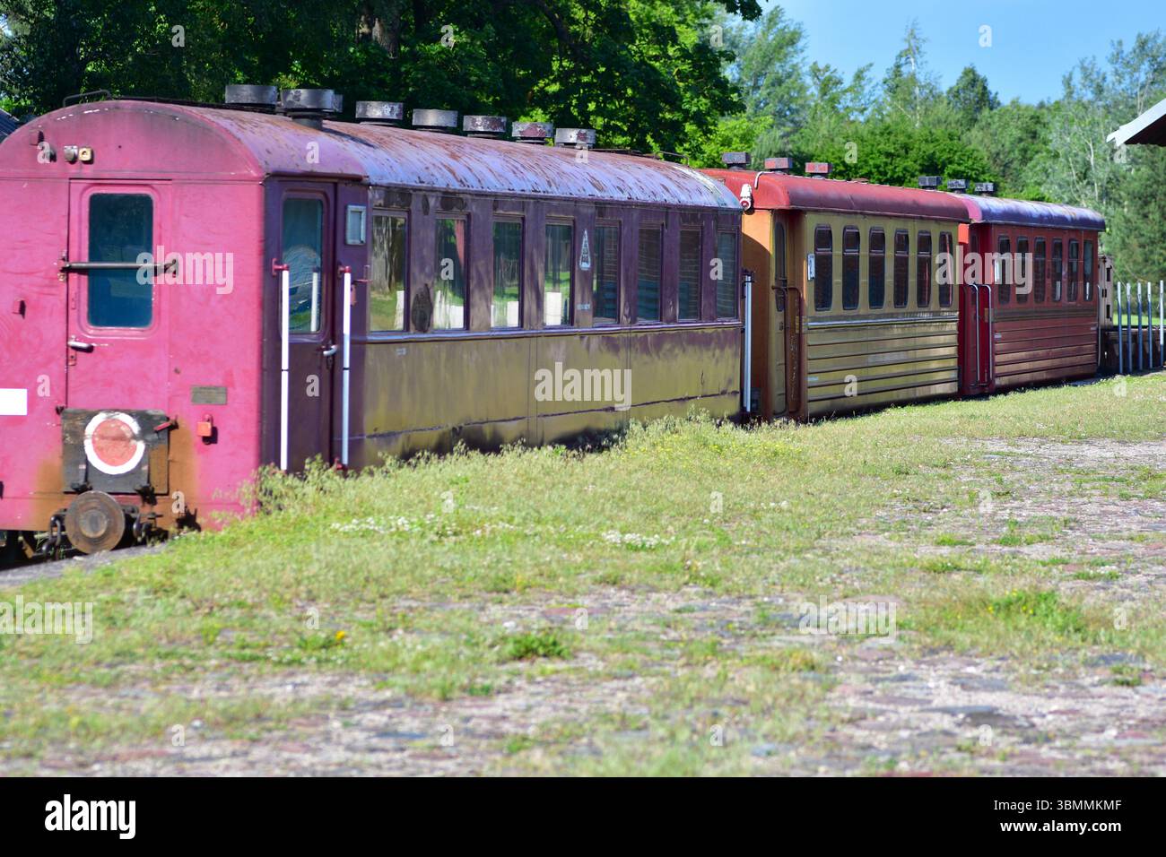 Alte bunte Zugwagen stehen auf rostigen Gleisen an einem bewachsenen, grasbewachsenen Bahnhof. Vergessene Eisenbahnszene, die an Nostalgie, Verfall und Geschichte erinnert Stockfoto