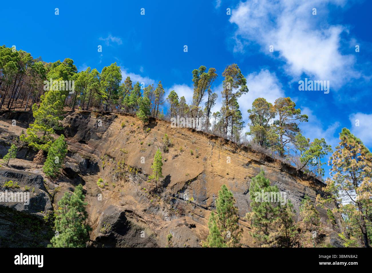 Lavagestein im nördlichen Teide-Nationalpark, Teneriffa, Spanien Stockfoto