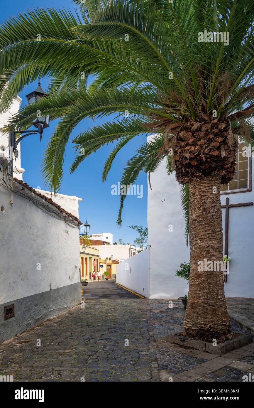 Die Straßen von Garachico, Provinz Santa Cruz de Tenerife, Spanien Stockfoto