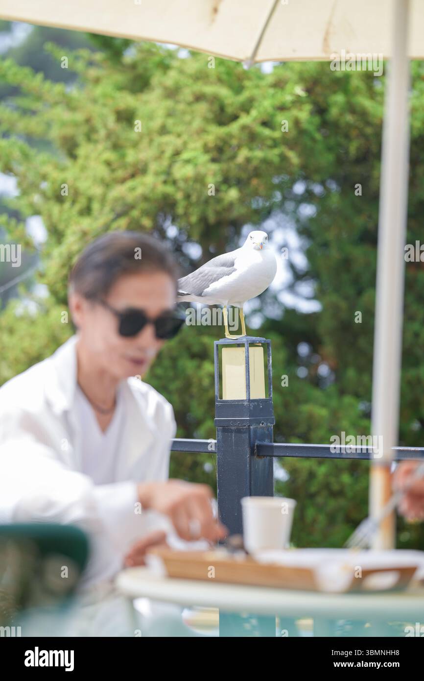Auf der Terrasse eines Cafés am Meer genießen ein koreanischer Mann und eine koreanische Frau Ende der 50er Jahre Kaffee und Kuchen am Nachmittag, während eine Möwe aus der Nähe beobachtet und einen pe kreiert Stockfoto