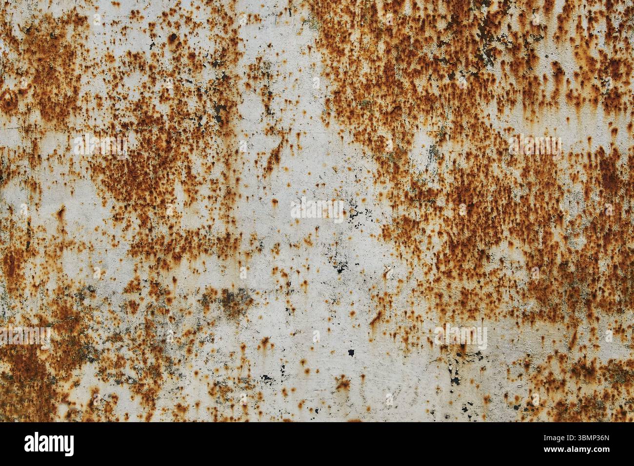 Verrostete, weiß lackierte Metallwand. Die Metalloberfläche hat verrostete Stellen. Rostkorrosion. Stockfoto