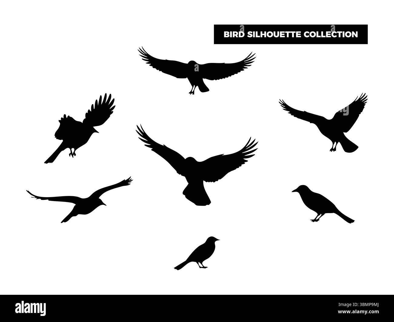 Hochwertige Vektor-Vogel-Silhouetten in verschiedenen Posen, fliegen, ruhen und hocken. Ideal für Logos, T-Shirts, Poster und Design-Projekte mit Naturmotiven Stock Vektor