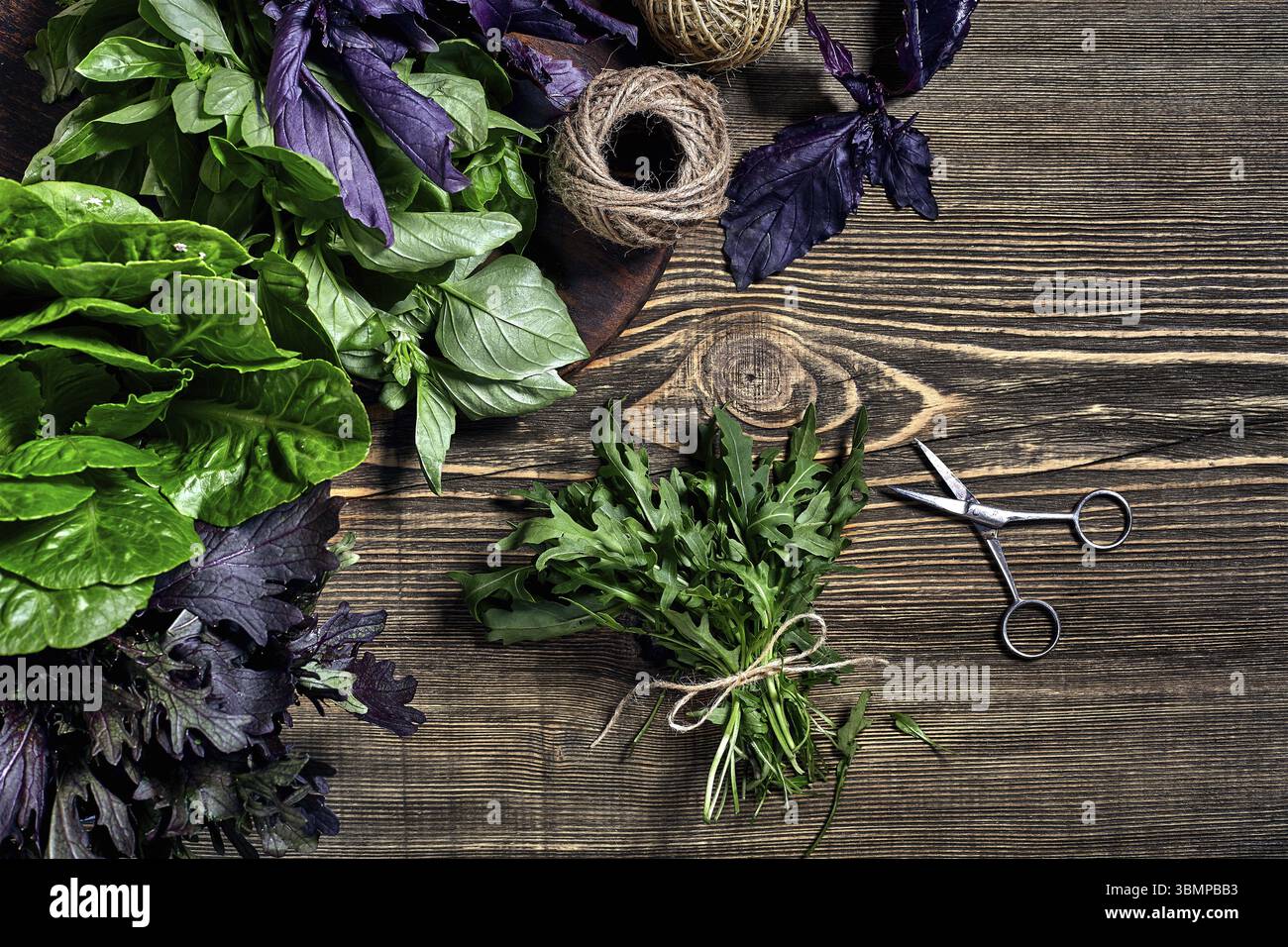 Auswahl an frischen Kräutern auf Holz- Hintergrund. Frisch geerntete Kräuter wie Basilikum, Rucola. Ansicht von oben. Kopieren Sie Platz. Machen Sie sich das Leben mehr Balan Stockfoto