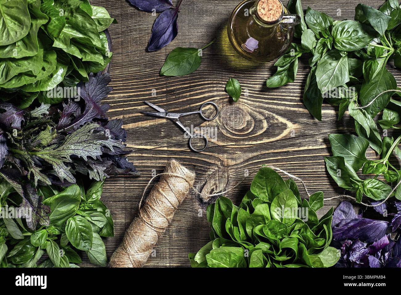 Auswahl an frischen Kräutern auf Holz- Hintergrund. Frisch geerntete Kräuter wie Basilikum, Rucola. Ansicht von oben. Kopieren Sie Platz. Machen Sie sich das Leben mehr Balan Stockfoto