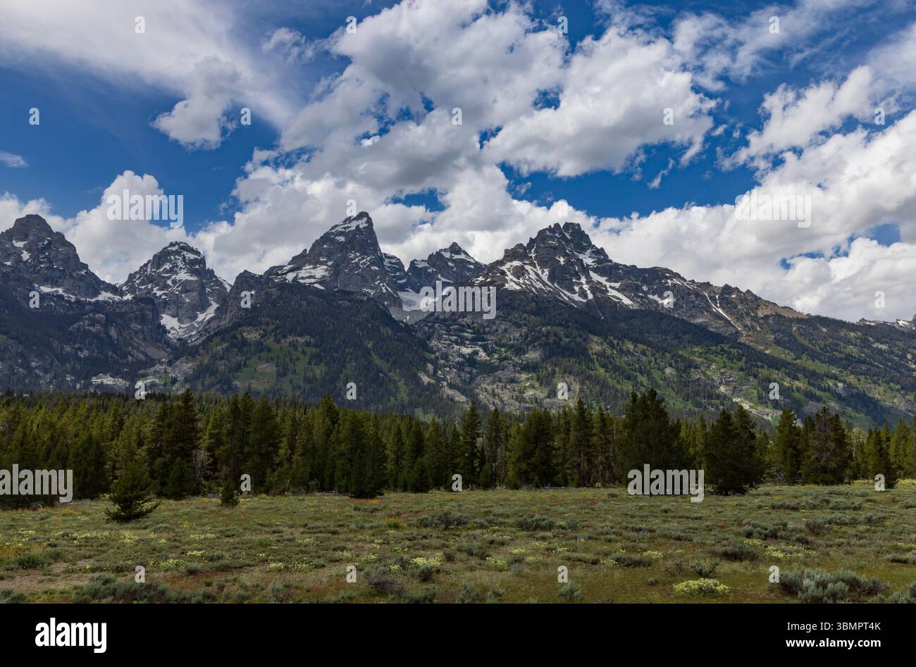 Dies ist ein Blick auf die Teton Range des Grand Teton National Park, Wyoming, USA. Diese Aussicht ist vom Teton Glacier am südlichen Ende des Parks. Stockfoto
