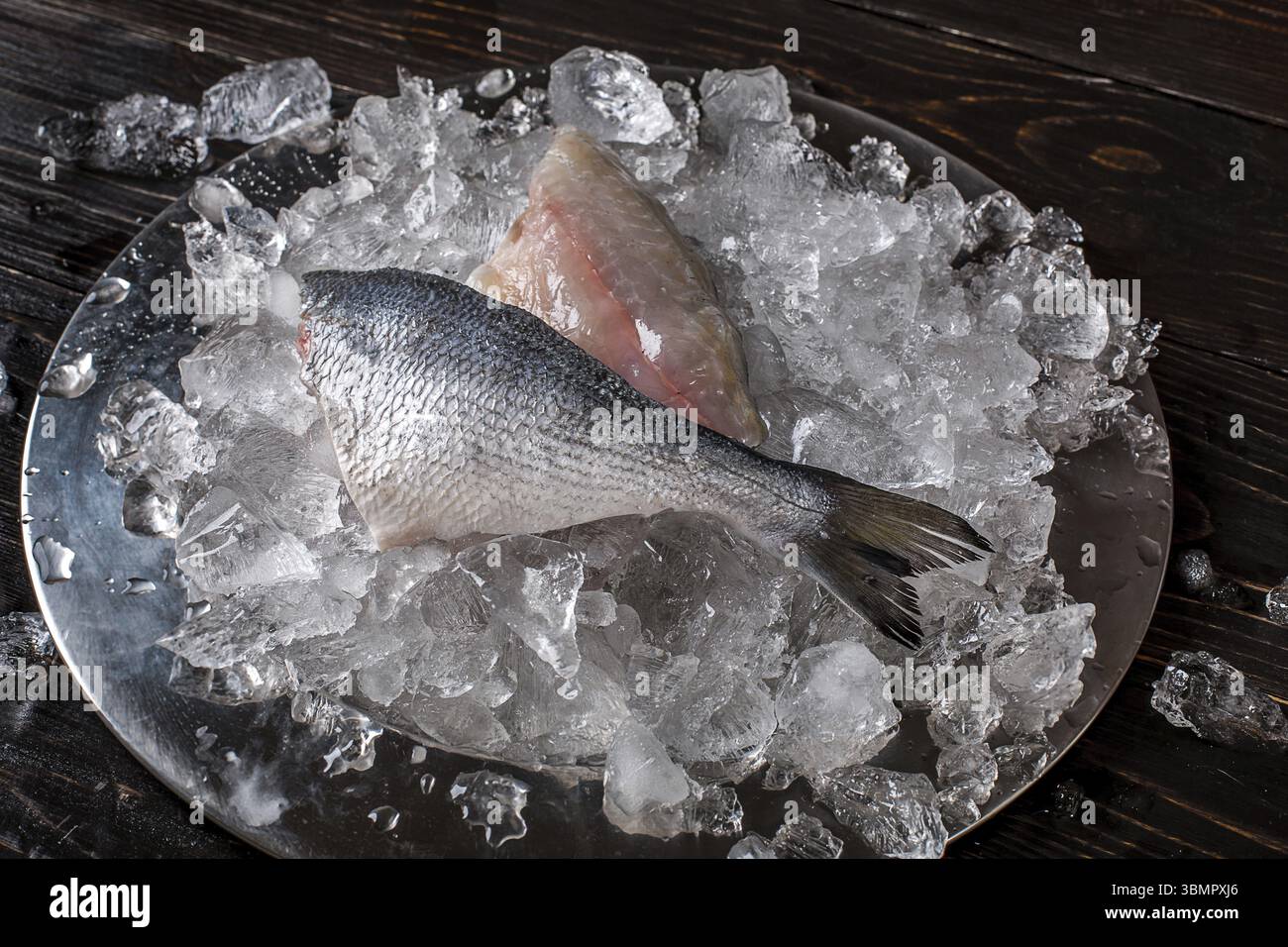 Zubereitung von Meeresfrüchten. Blick von oben auf dorado Filet auf Eis. Vor dunklem Hintergrund Stockfoto